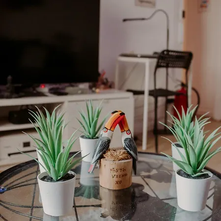 Rostelbem Guesthouse Lisbon ホステル リスボン